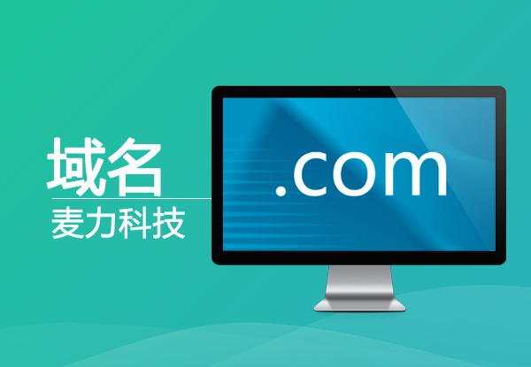 企业域名保护方案