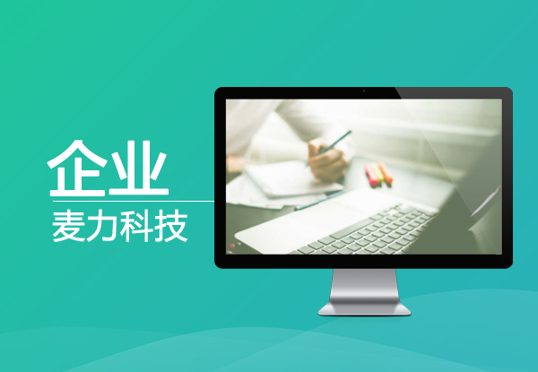 企业网站解决方案
